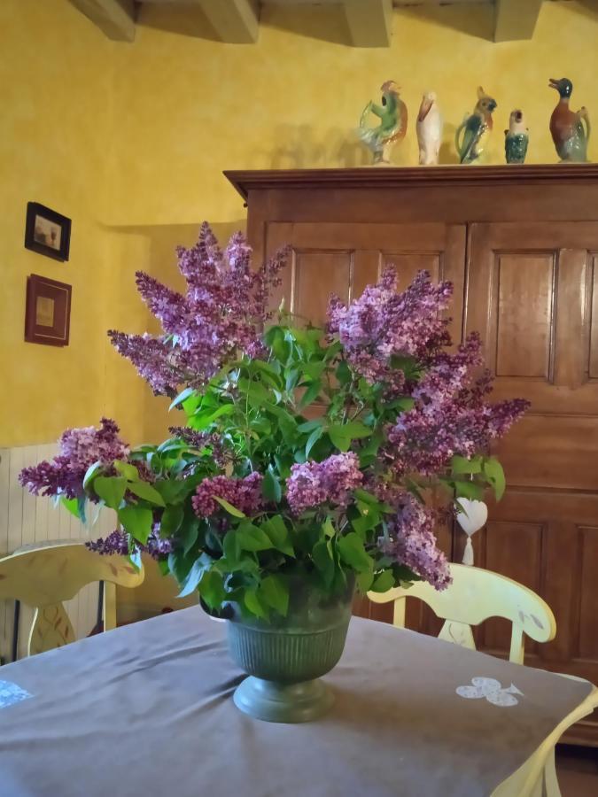 Chambre Dans Prieure De Caractere XVIII Siecle Planioles Dış mekan fotoğraf